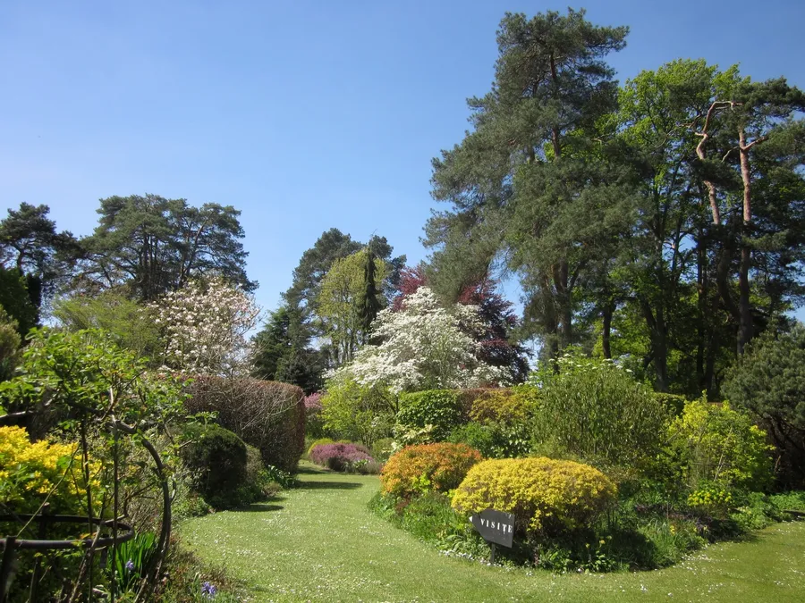 Image du carousel qui illustre: Arboretum Des Grandes Bruyères à Ingrannes