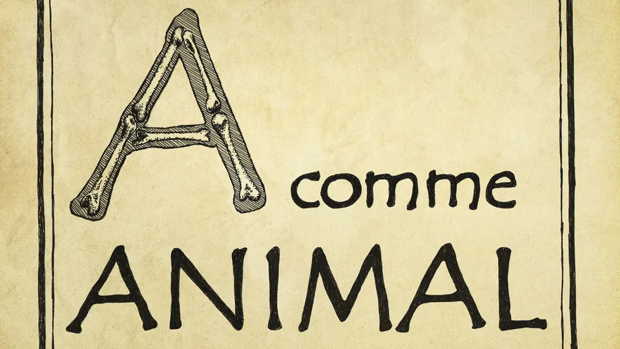 Image du carousel qui illustre: A Comme Animal à Aix-en-Provence