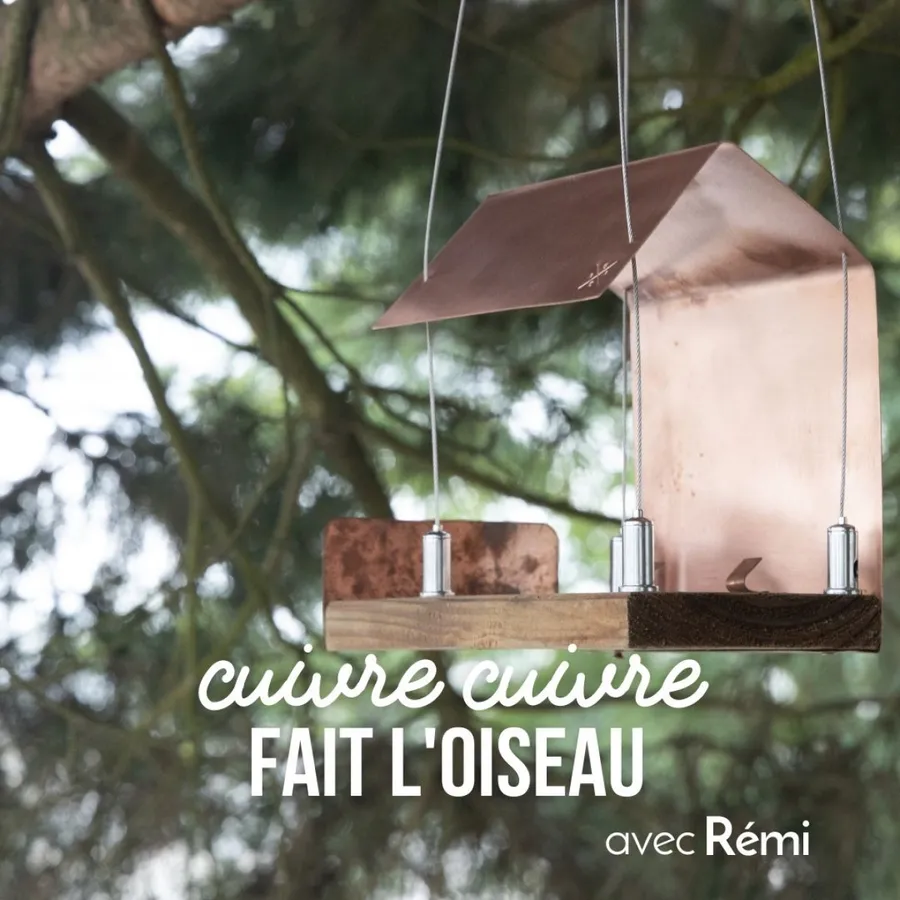 Image du carousel qui illustre: Fabriquez votre nichoir à oiseaux à Saint-Jean-d'Illac