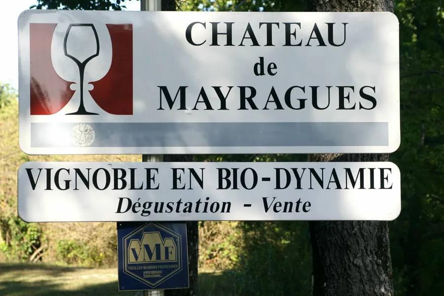 Image du carousel qui illustre: Dégustation des vins du domaine en biodynamie à Castelnau-de-Montmiral