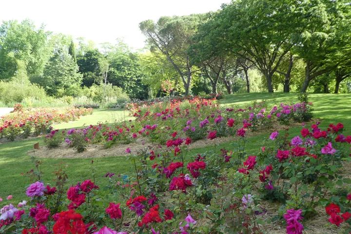 Image du carousel qui illustre: Parc Floral De La Roseraie à Poitiers