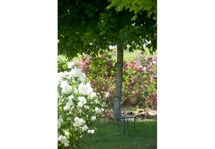 Image du carousel qui illustre: Parc Floral De La Roseraie à Poitiers
