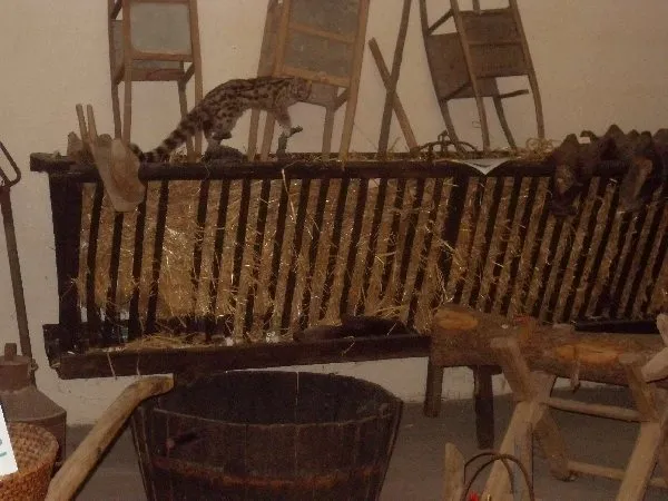 Image du carousel qui illustre: musée rural du bois à Coupiac