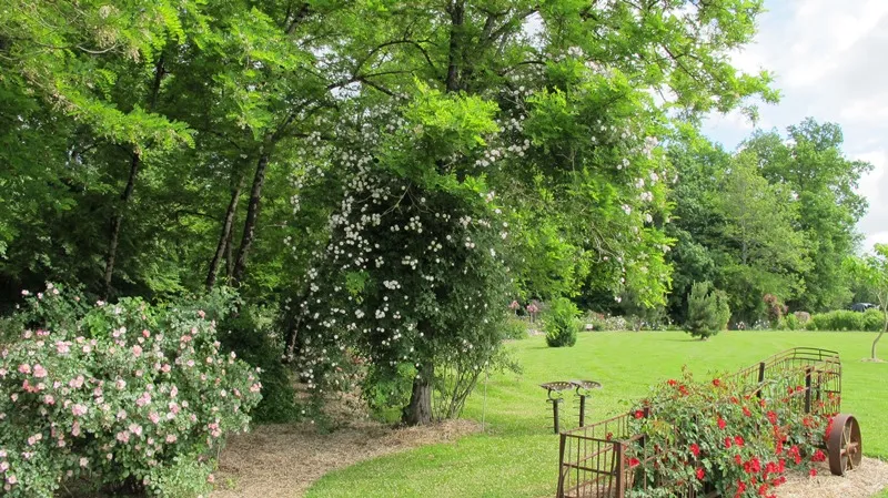 Image du carousel qui illustre: Jardin Pimpinellifolia à Saint-Aubin-de-Cadelech