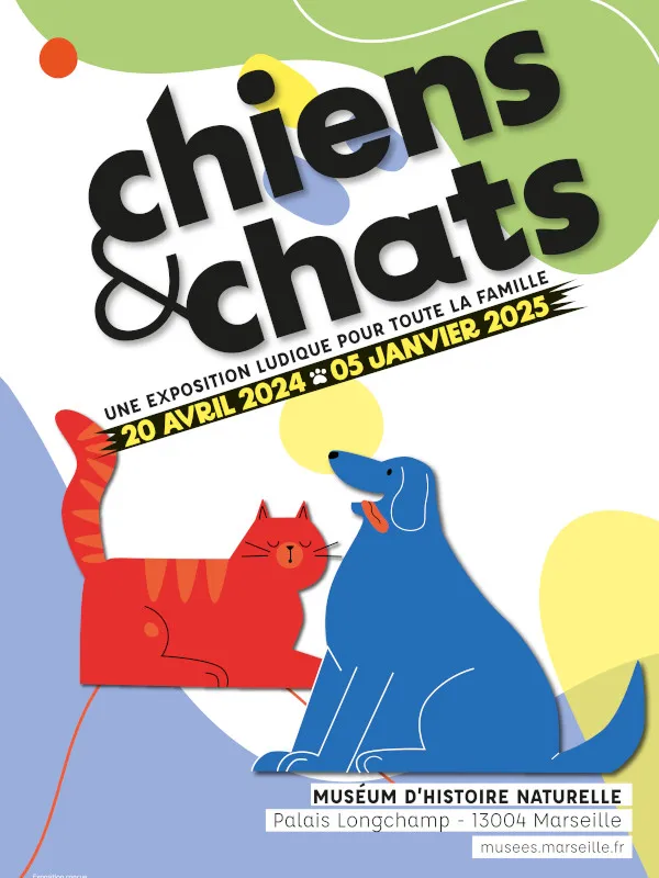Image du carousel qui illustre: Chiens Et Chats à Marseille