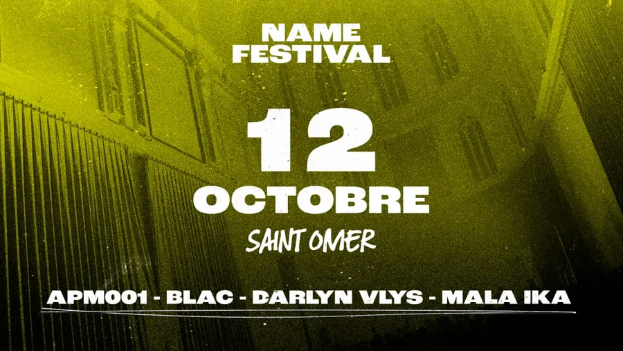 Image du carousel qui illustre: NAME Festival à Saint Omer 2024 à Saint-Omer