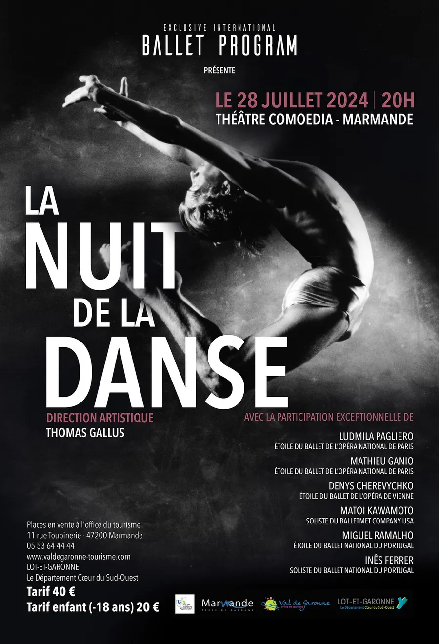 Image du carousel qui illustre: La Nuit De La Danse à Marmande