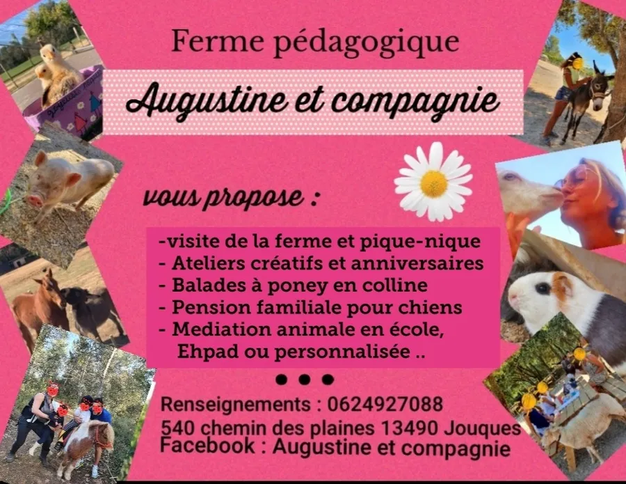 Image du carousel qui illustre: Augustine & Compagnie - Méditation animale à Jouques