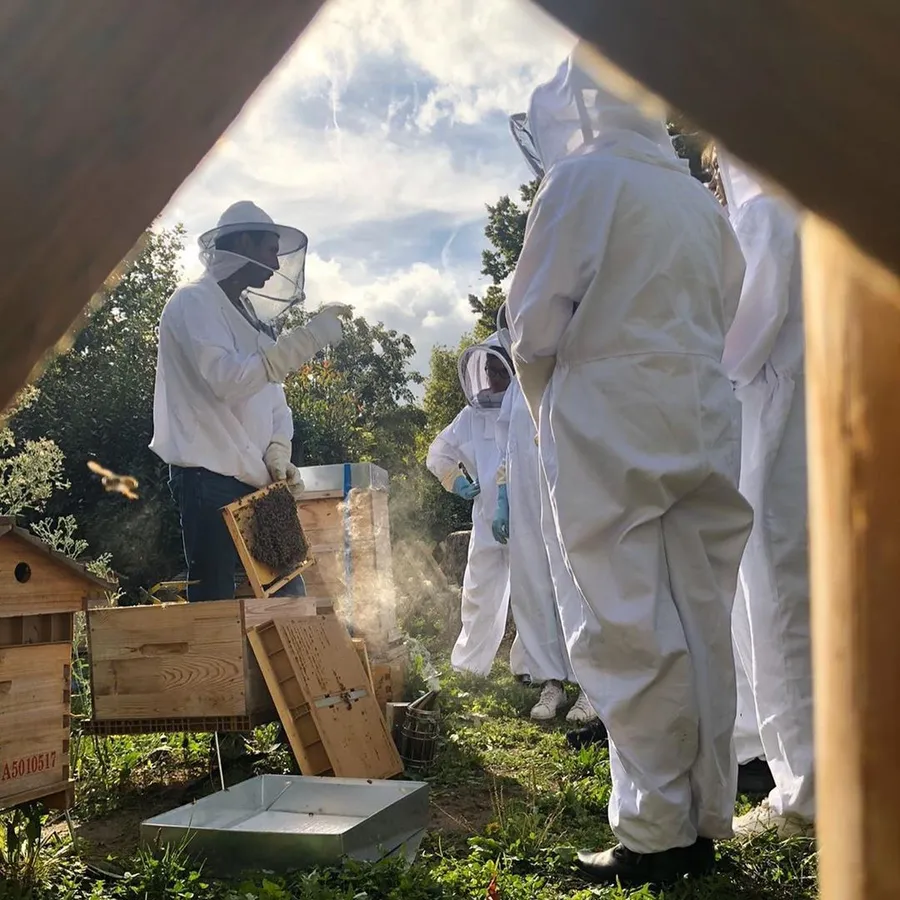 Image du carousel qui illustre: Initiez-vous à l'apiculture urbaine à Paris