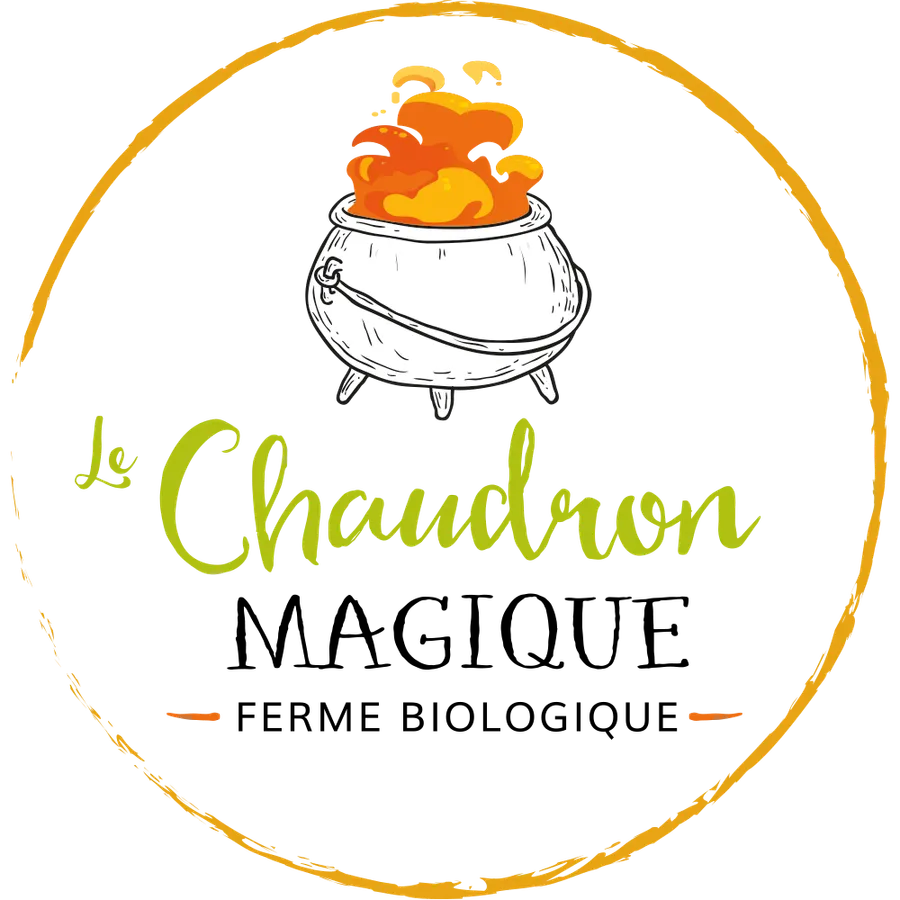 Image du carousel qui illustre: Le Chaudron Magique à Brugnac