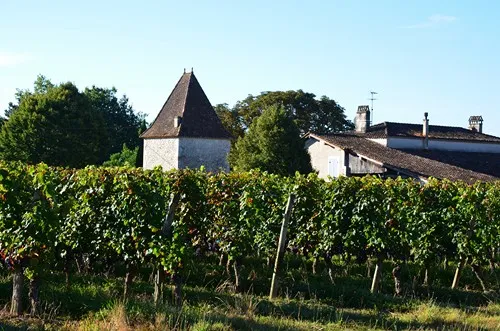 Image du carousel qui illustre: Buzet-sur-baïse, Randonnée Autour Du Château à Buzet-sur-Baïse