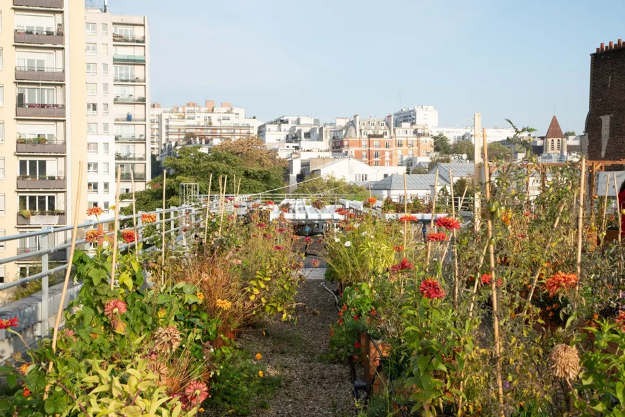 Image du carousel qui illustre: Visitez une ferme urbaine en plein Paris à Paris