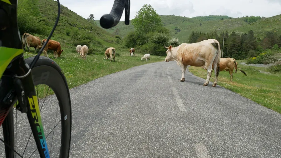 Image du carousel qui illustre: Route N° 5 - Col d'Ahusquy à Arette