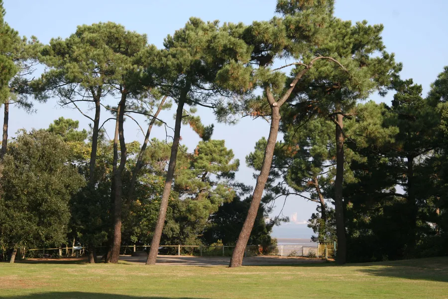 Image du carousel qui illustre: Parc Du Pointeau à Saint-Brevin-les-Pins