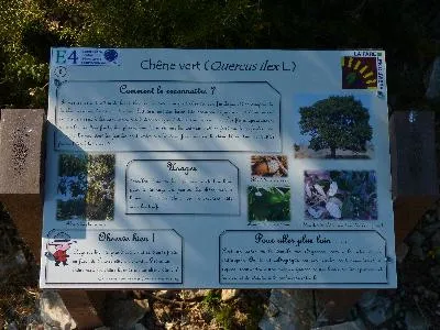 Image du carousel qui illustre: Sentier botanique dans les collines de la Fare-les-Oliviers à La Fare-les-Oliviers