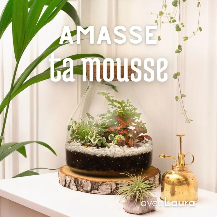Image du carousel qui illustre: Réalisez votre terrarium à Gometz-la-Ville