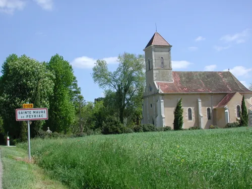 Image du carousel qui illustre: Sainte-maure-de-peyriac, L'arbre Et Le Cep à Sainte-Maure-de-Peyriac