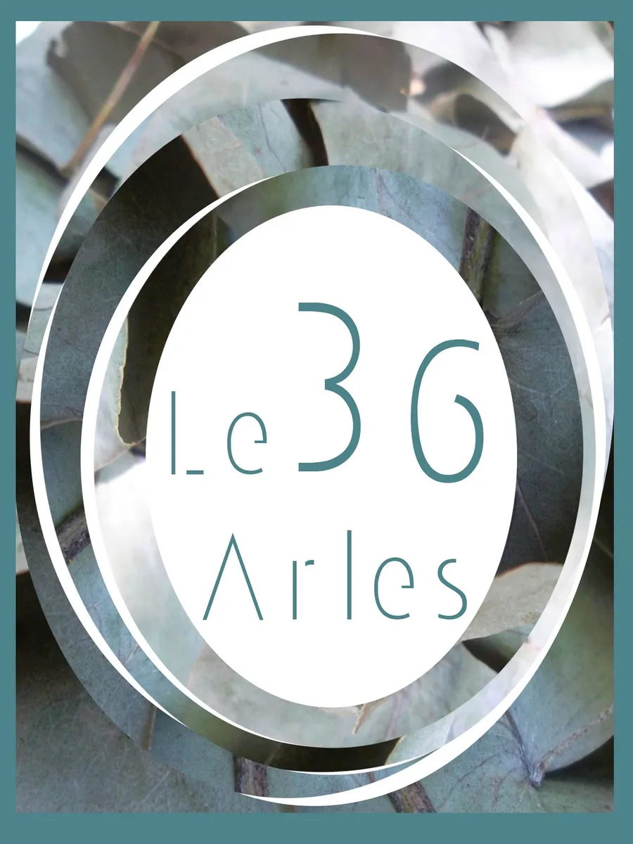 Image du carousel qui illustre: Le 36 à Arles