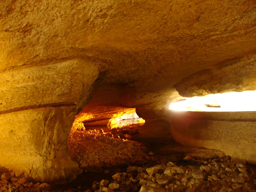 Image du carousel qui illustre: Grotte Du Mas-D'azil à Le Mas-d'Azil
