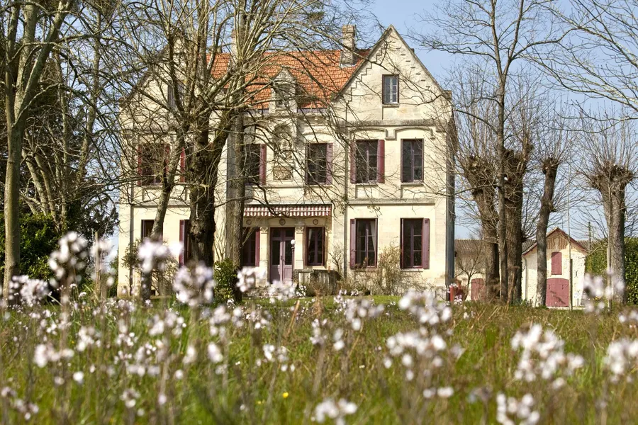 Image du carousel qui illustre: Château Lavergne Dulong à Montussan
