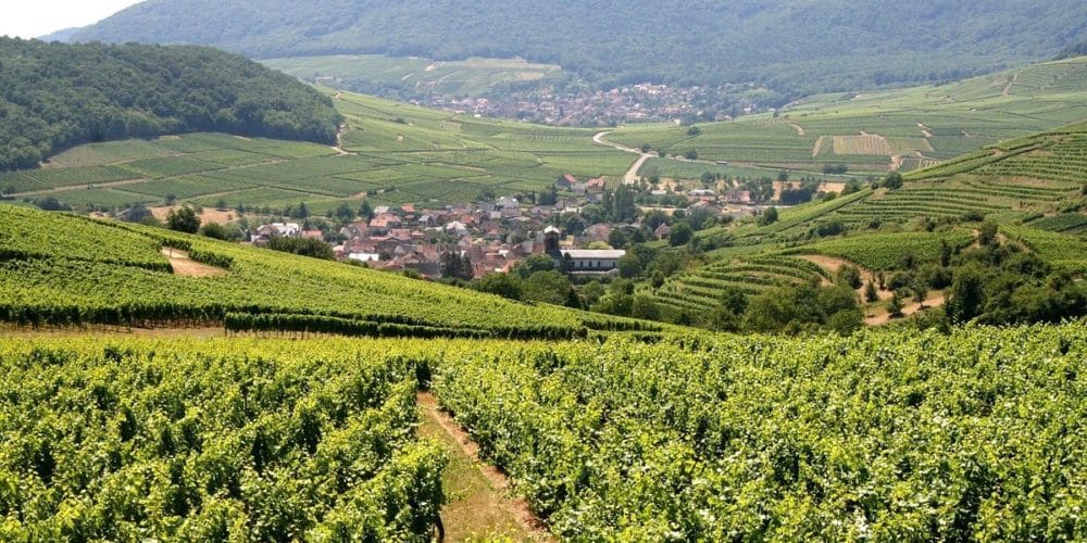 Le Strangenberg - Alsace