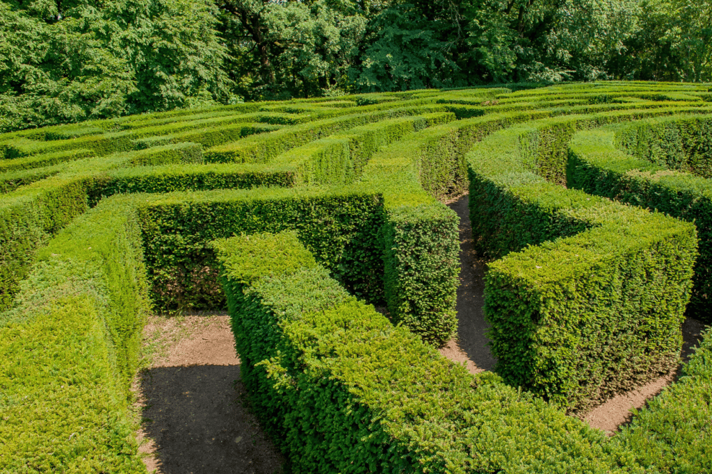 Labyrinthe Végétal Charmes