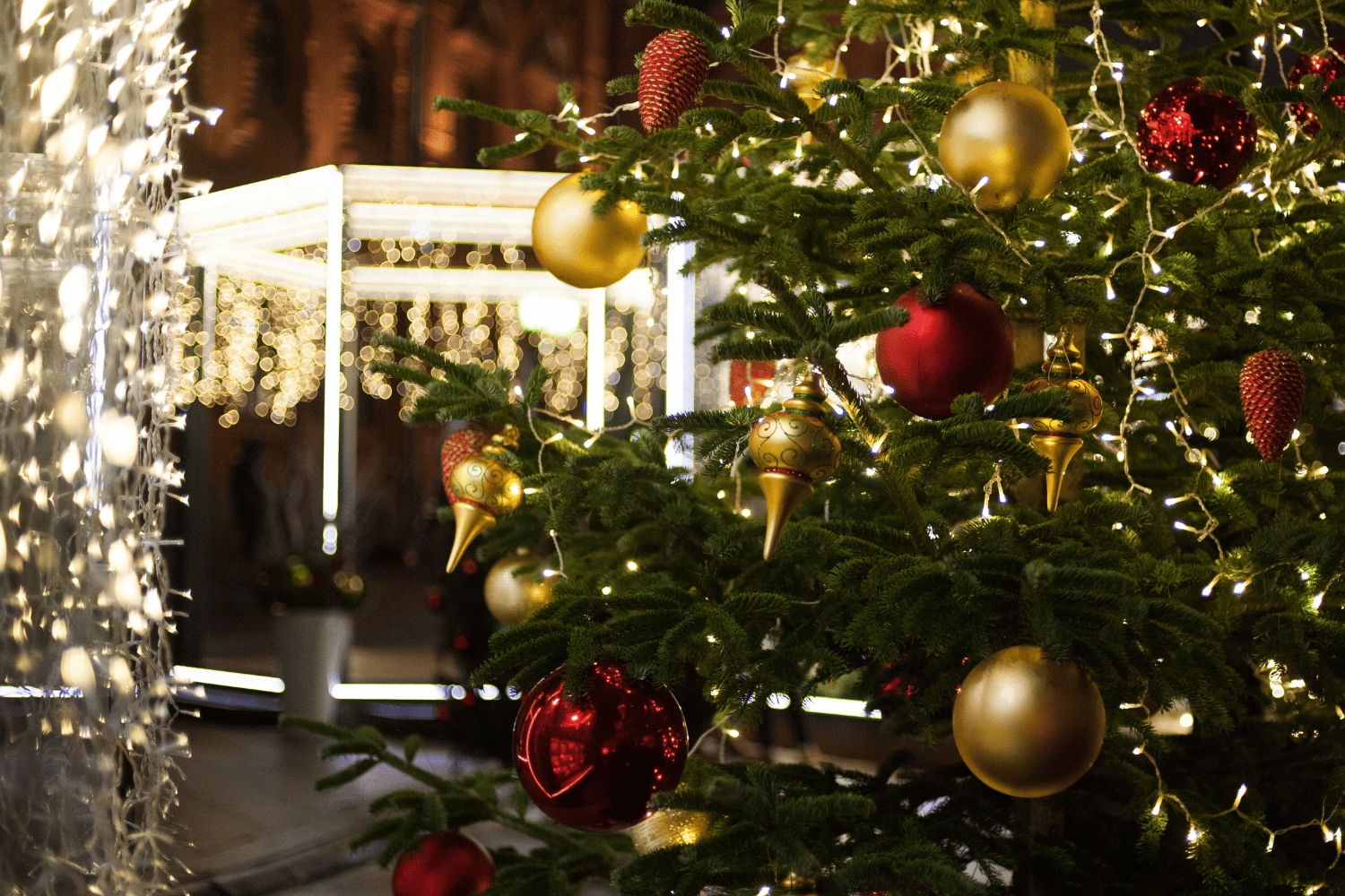 Carcassonne à Noël : Les meilleures activités à faire