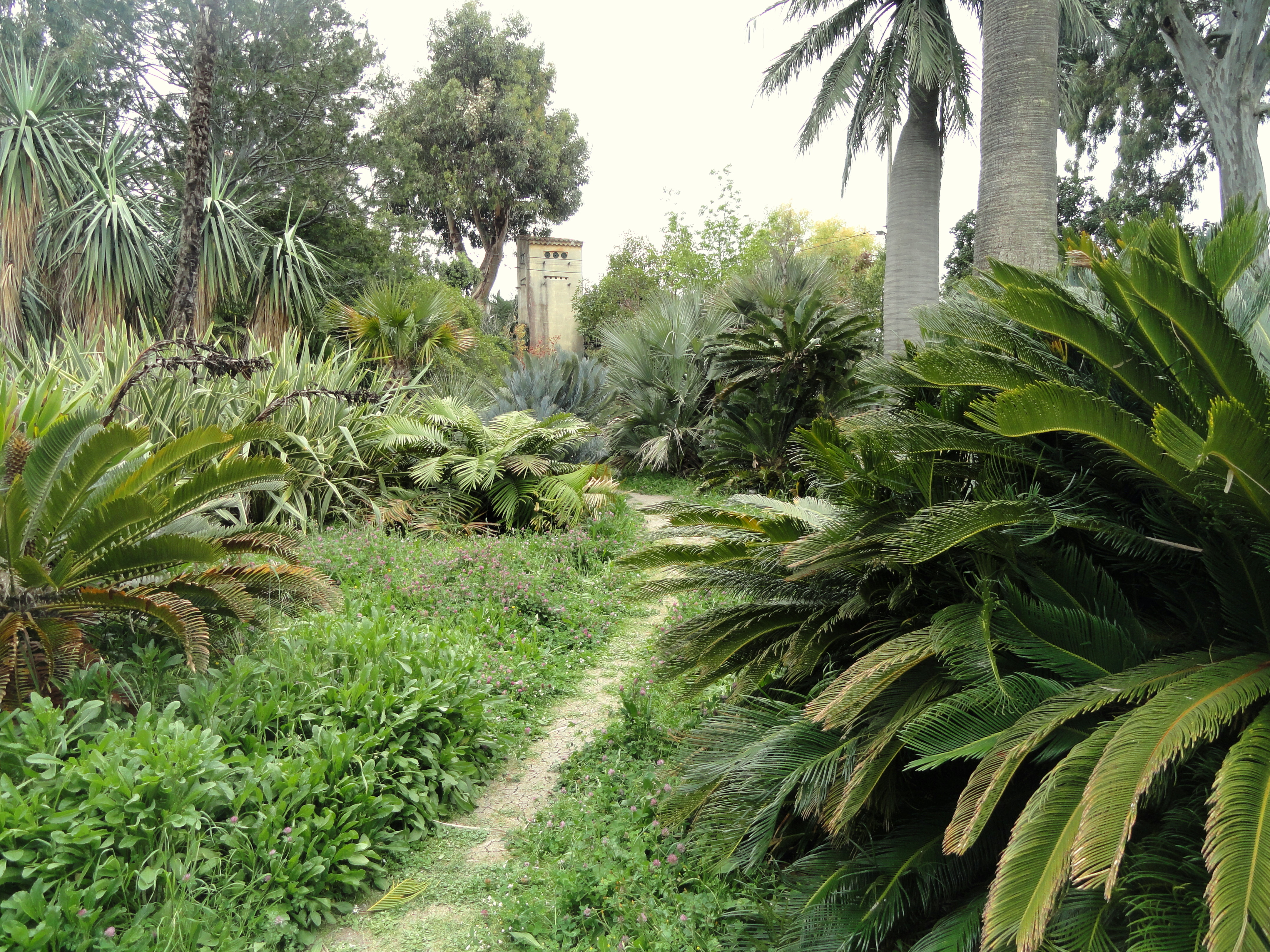 jardin thuret