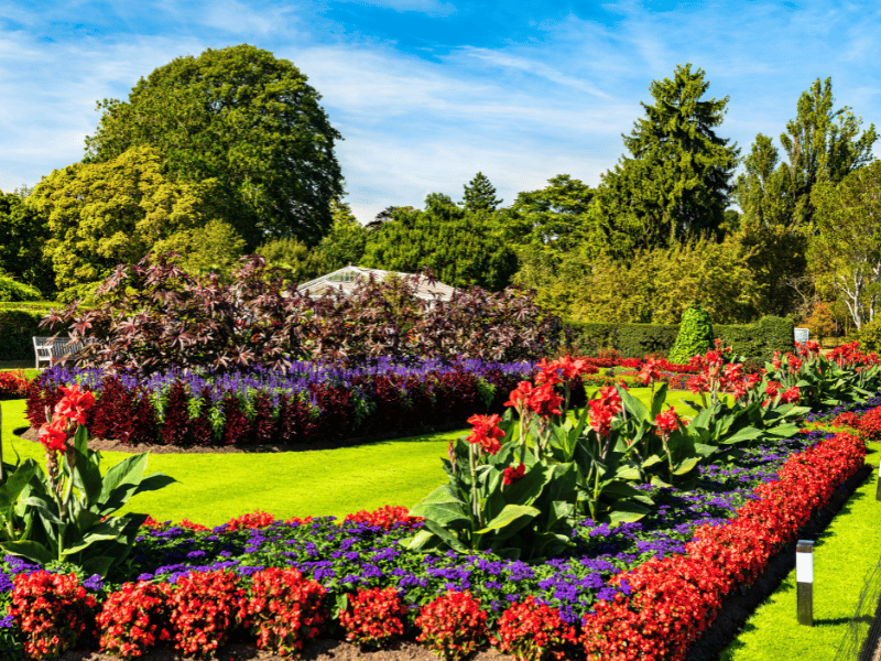 Les jardins botaniques royaux de Kew Garden (1)