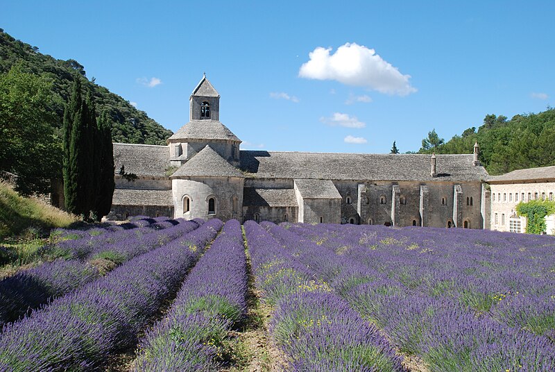 Abbaye_Notre-Dame_de_Sénanque