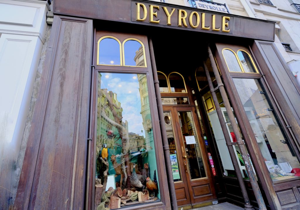 Maison Deyrolles paris 7e arrondissement