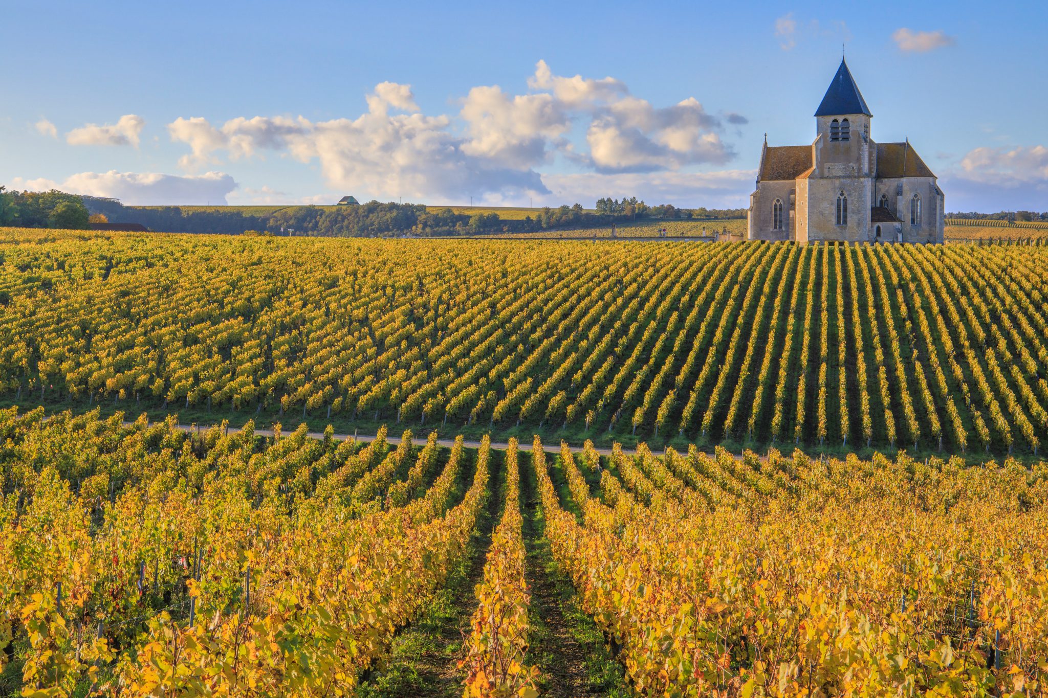 Bourgogne : 6 idées d’activités insolites