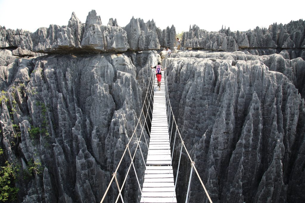 La forêt de pierre, les Tsingy de Bemaraha de Madagascar