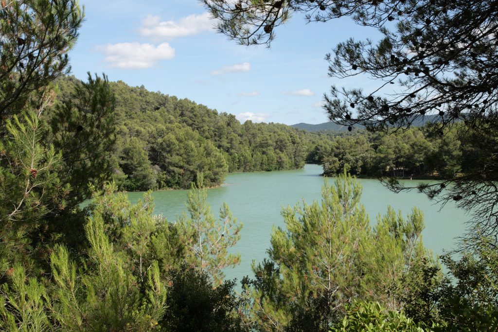 Lac de la cavayère,Aude