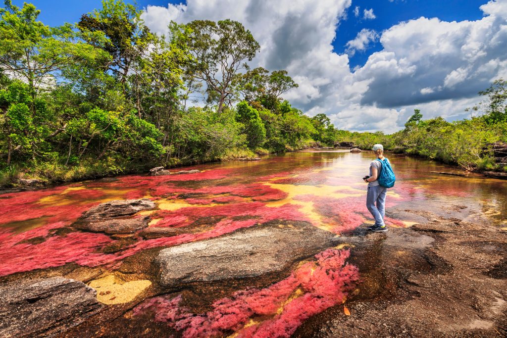 Cano Cristales Colombie