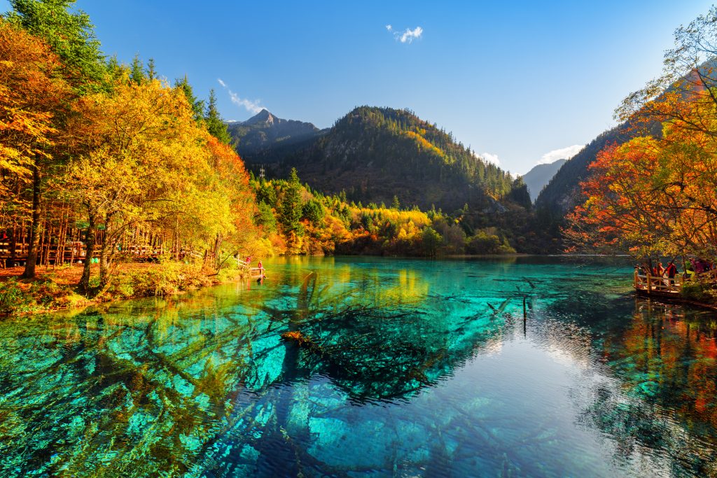 Le Lac des Cinq Fleurs dans la vallée de Jiuzhaigou en Chine