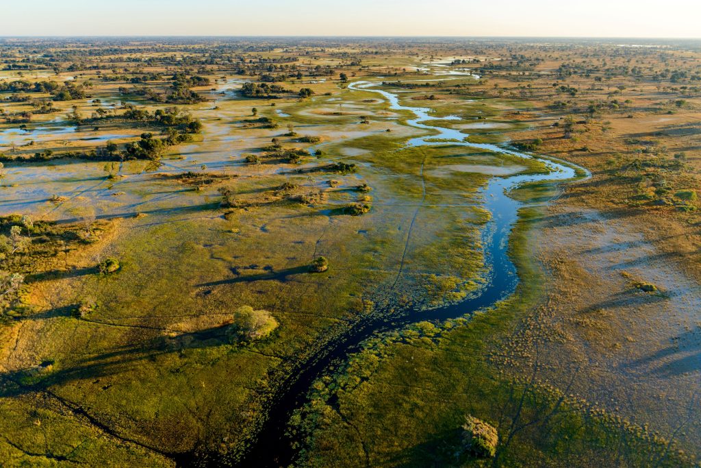 Le delta de l'Okavango de Botswana