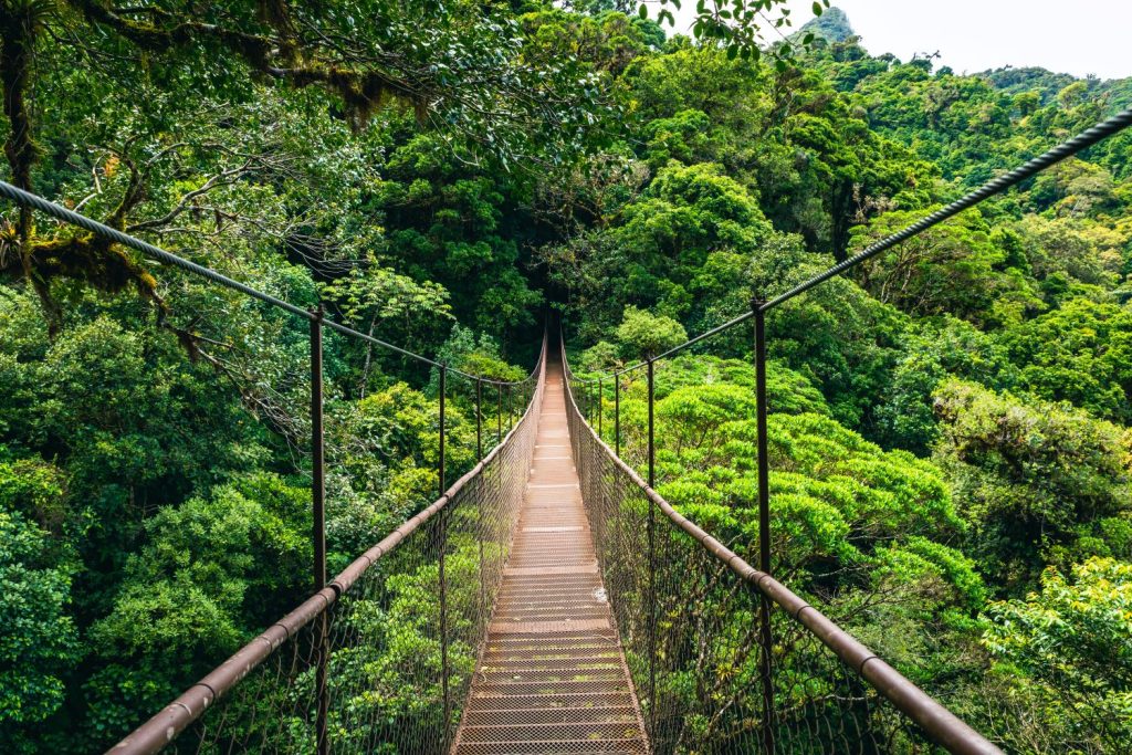 Monteverde au Costa Rica