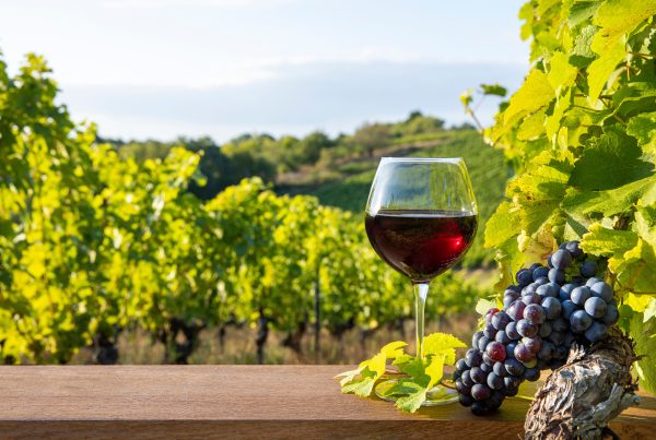 Verre de vin rouge et grappe de raisin au milieu d'un vignoble en France. domaine viticole
