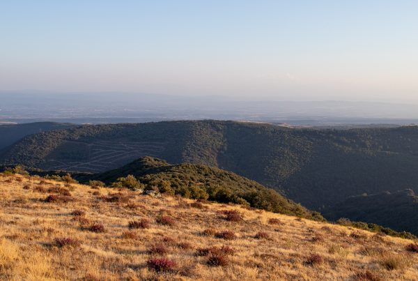 Panorama sur les montagnes depuis un plateau rocailleux près de Cubserviès dans le département de l'Aude en Occitanie