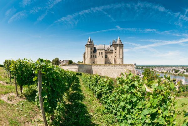 Vignobles près du Chateau de Saumur, Loire Valley, France