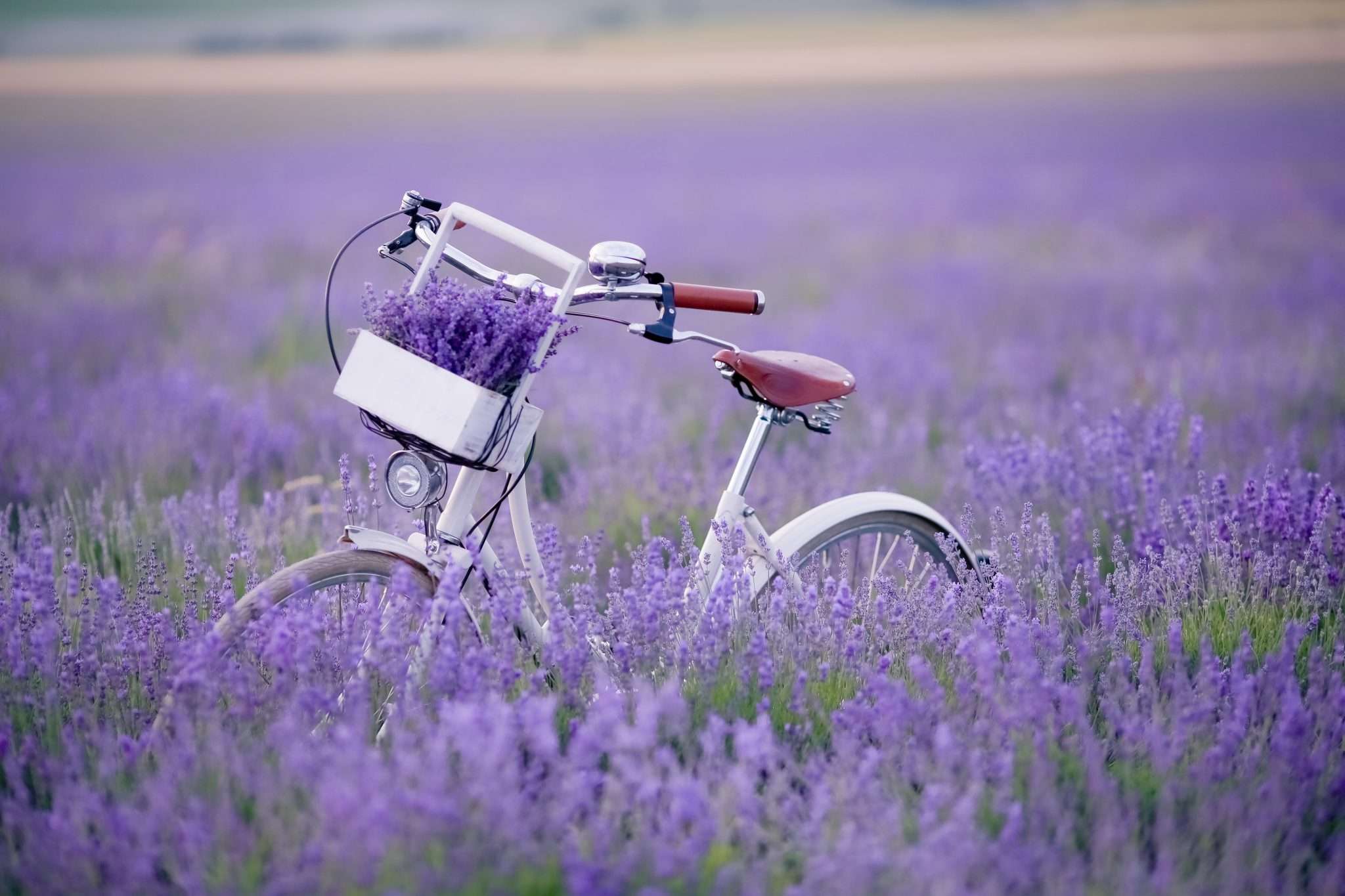 Vélo en Provence : Nos conseils et 7 pistes cyclables à découvrir
