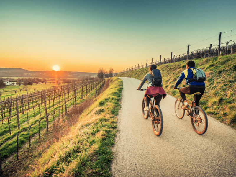 Découvrez les vignobles du Languedoc à vélo : une escapade gourmande et pittoresque