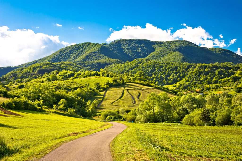 collines de Plesivica