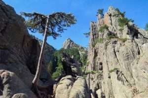 Wonderful rocks and trees on the hike to Trou de la Bombe near the Bavella mountains, Corsica, France