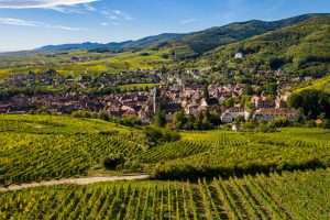 An aerial panorama of Ribeauvillé (France) with vineyards