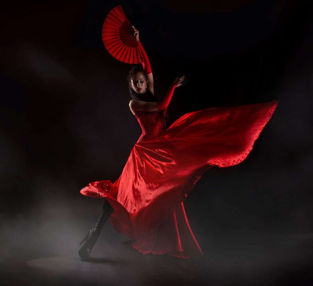 spectacle flamenco madrid