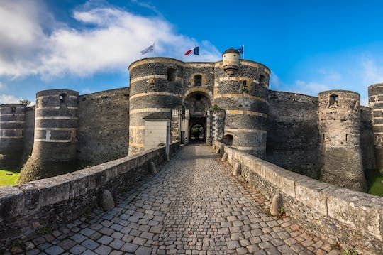Illustration de: Billets d'entrée pour le château d'Angers