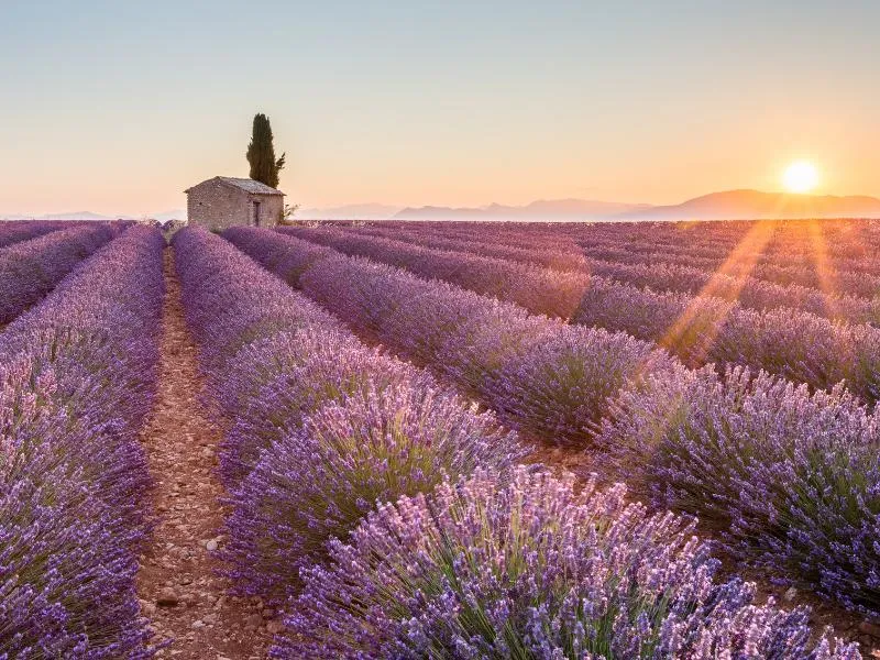 5 escapades à faire aux alentours de Marseille