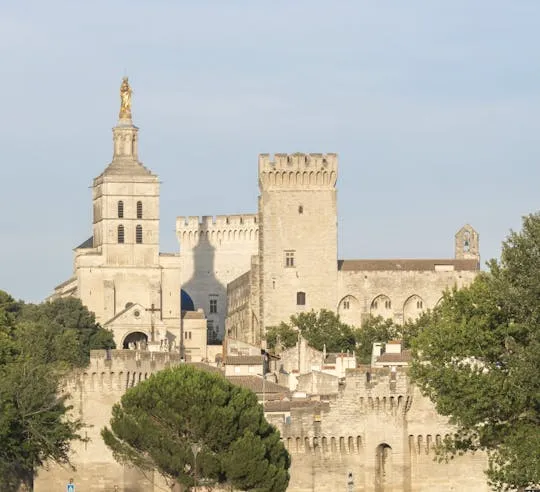 Illustration de: Visite à pied d'Avignon et du palais des papes